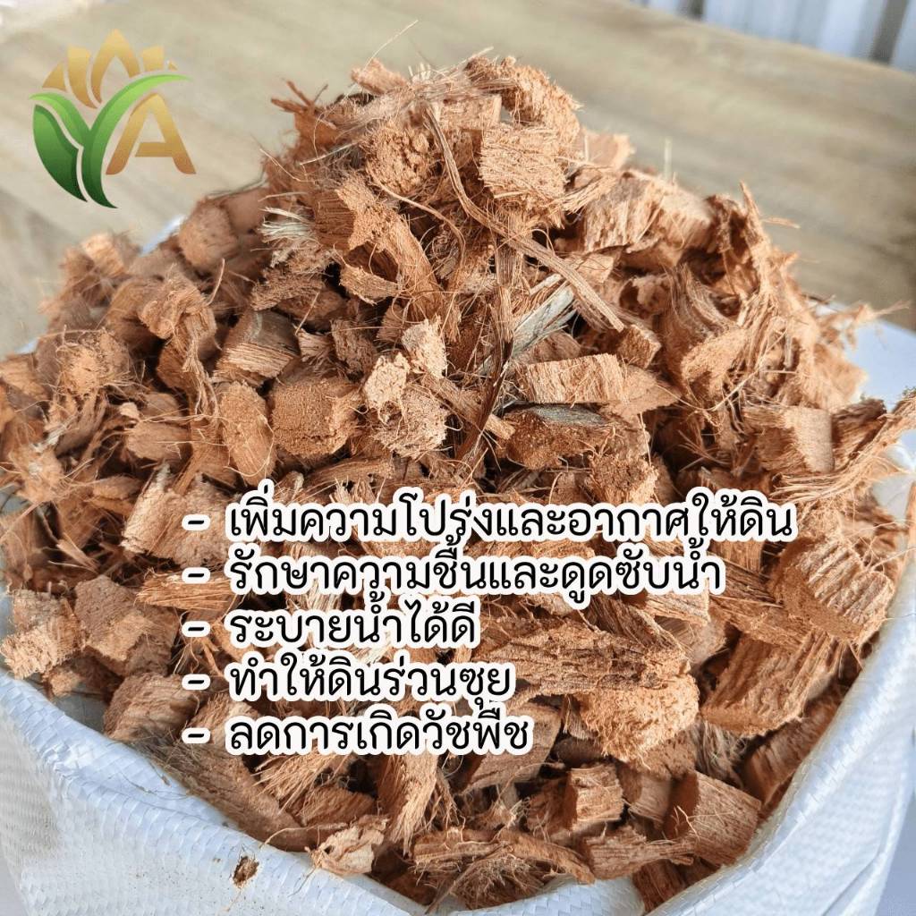 กาบมะพร้าวสับ ขนาด 1 กิโลกรัม เกรดดี ถุงใหญ่ ปรับปรุงโครงสร้างดิน ดูดซับน้ำได้ดี ลดความถี่ในการรดน้ำ ราคา ถูกที่สุด ดีลบีเคเค แกลเลอรีภาพที่ 2