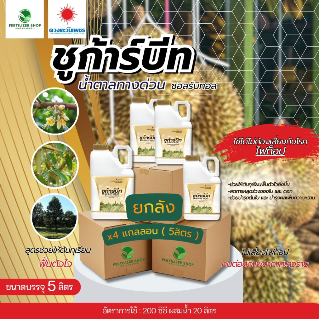 (ยกลัง5L*4) ซูก้าร์บีท น้ำตาลทางด่วน 5L (ดวงตะวันเพชร)