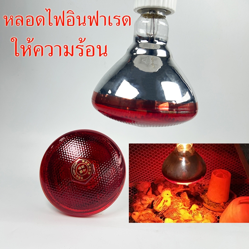 หลอดไฟอินฟราเรด ให้ความอบอุ่น สำหรับเลี้ยงสัตว์ ลูกหมู ลูกไก่ ไฟอุ่นเลี้ยงสัตว์ หลอดไฟกกสัตว์