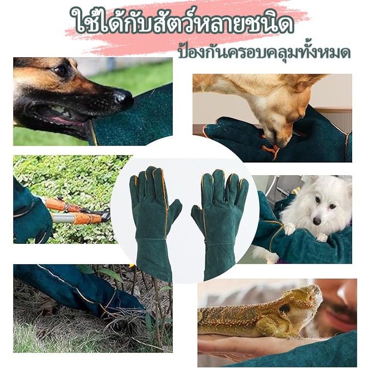 Thumbnail 8