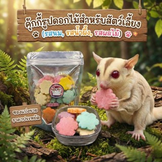 คุ้กกี้รูปดอกไม้สำหรับสัตว์เลี้ยง