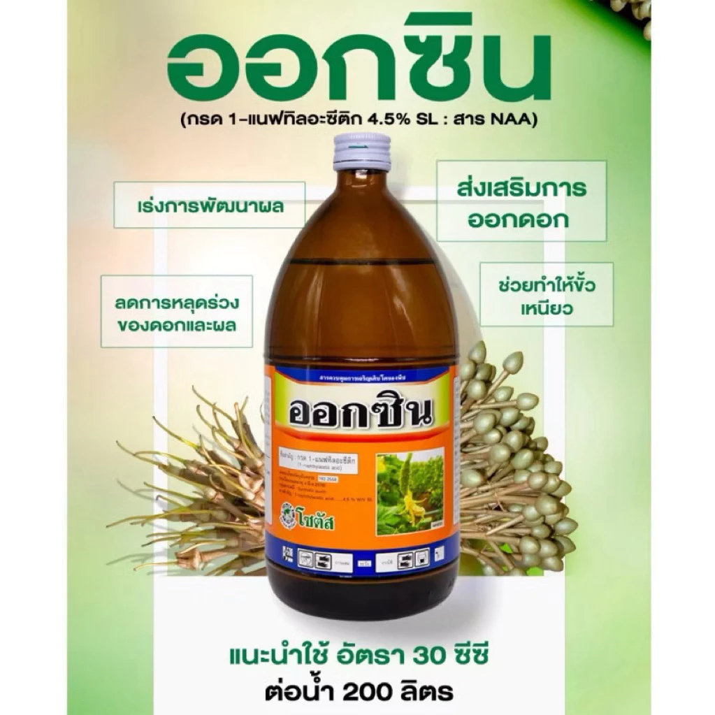 ออกซิน โซตัส ยาขั้วเหนียว เปลี่ยนเพศดอก ป้องกันการรั่วดอกและผล เร่งการเกิดรากของกิ่งชำ
