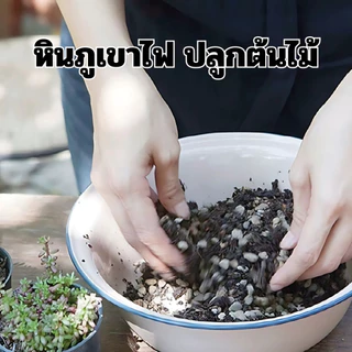 PPM หินภูเขาไฟ พัมมิส (Pumice) อินโดนีเซียแท้ เกรดพรีเมียม ระบายน้ำดีเยี่ยม แพ็ค 1 กิโลกรัม