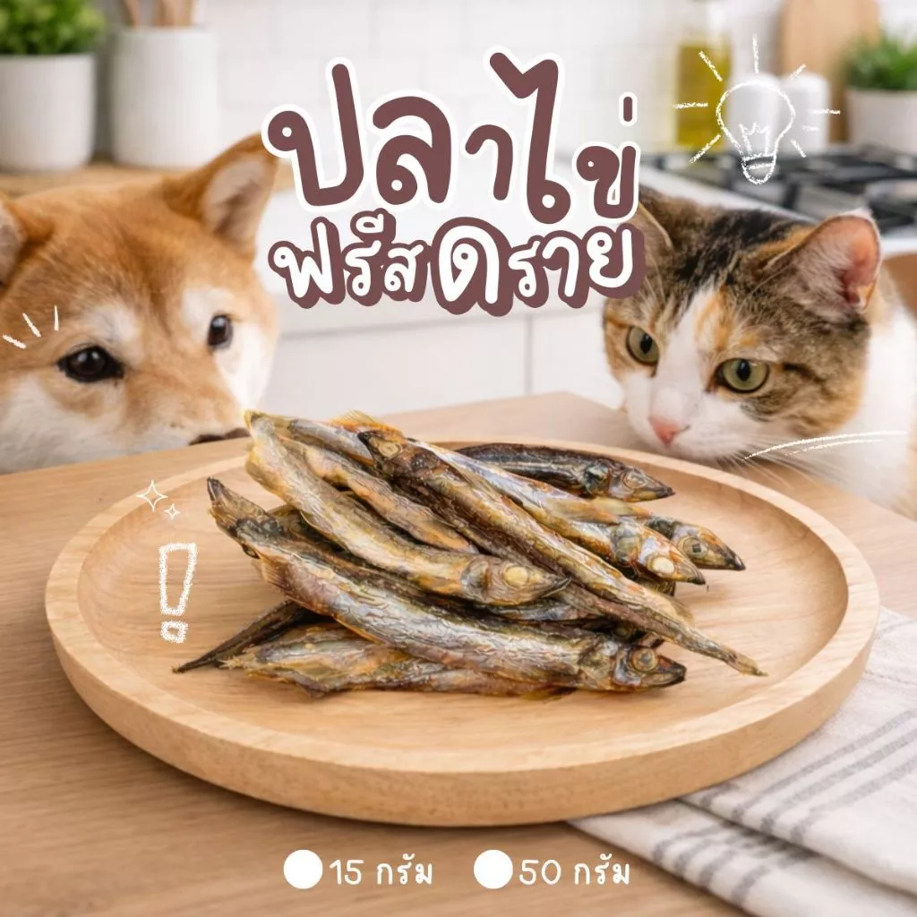 🟢 ขนมปลาไข่ ✅ เข้าเพิ่ม อบกรอบ สำหรับแมวและสุนัข  สินค้าพร้อมส่ง ร้านค้ายินดีให้บริการ thumbnail 4