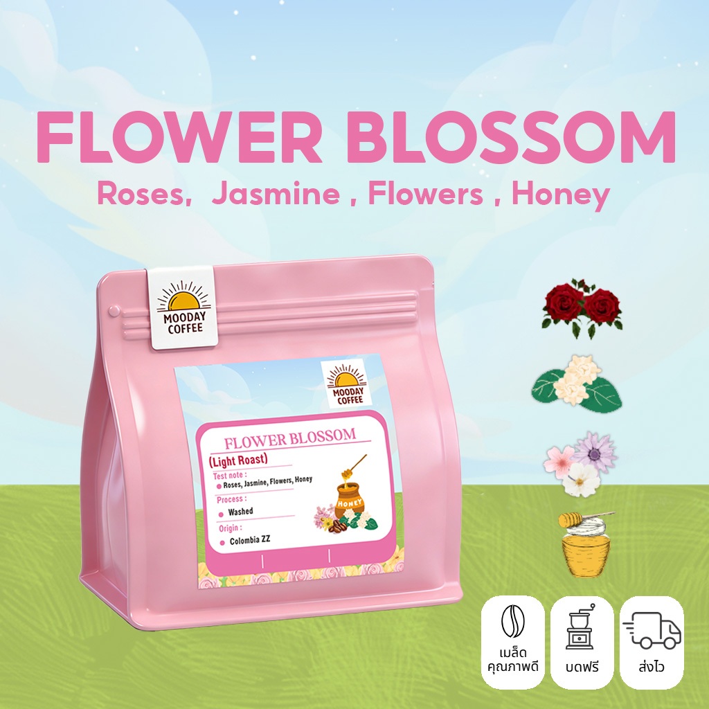Mooday เมล็ดกาแฟ Flower Blossom อาราบิก้า 100% จากโคลอมเบีย คั่วอ่อน หอมธรรมชาติ ไม่เติมน้ำตาล
