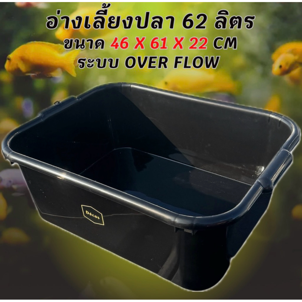อ่างเลี้ยงปลา 62 ลิตร ระบบoverflow 46 x 61 x 22cm อ่างเปล่า อ่างปลา อ่างเลี้ยงปลา กะบะปลา อ่างปลาบอล