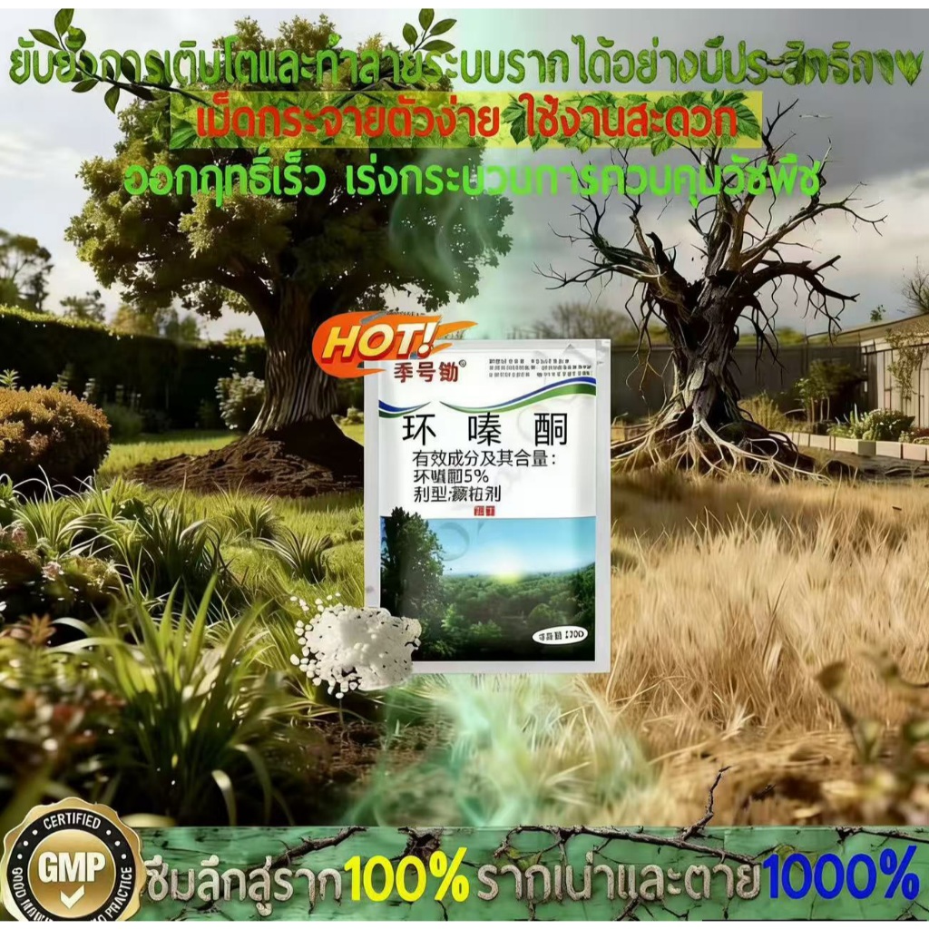 💥จัดส่งจากสมุทรปราการ💥500gสูตรเข้มข้นกำจัดวัชพืชรากเน่า ผลติดทนนานรากเน่ารากไม่ขึ้นอีก ยากำจัดต้นไม้สารกำจัดกอไผ่ผงกำจัด