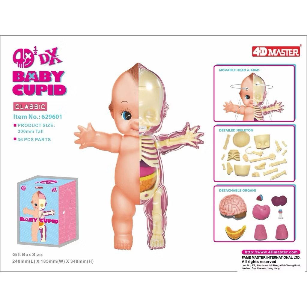 4DX BABY CUPID 30cm. มี2แบบ