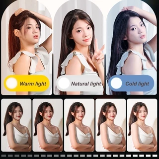 90cm Softbox 500w LED LIGHT with grid ซอฟต์บ็อกซ์ ไฟสตูดิโอ ไฟต่อเนื่อง ไฟถ่ายรูป ไฟไลฟ์สด camera light stand photoshoot