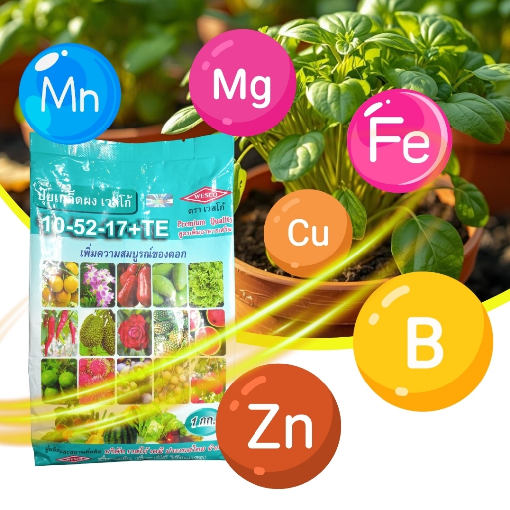 ปุ๋ยเกล็ด เวสโก้ สูตร ปุ๋ย 10 52 17 +TE ดอกสมบูรณ์ ดอกมาไว ลูกสวย เหมาะกับพืชทุกชนิด  ปุ๋ย 1 กิโลกรั