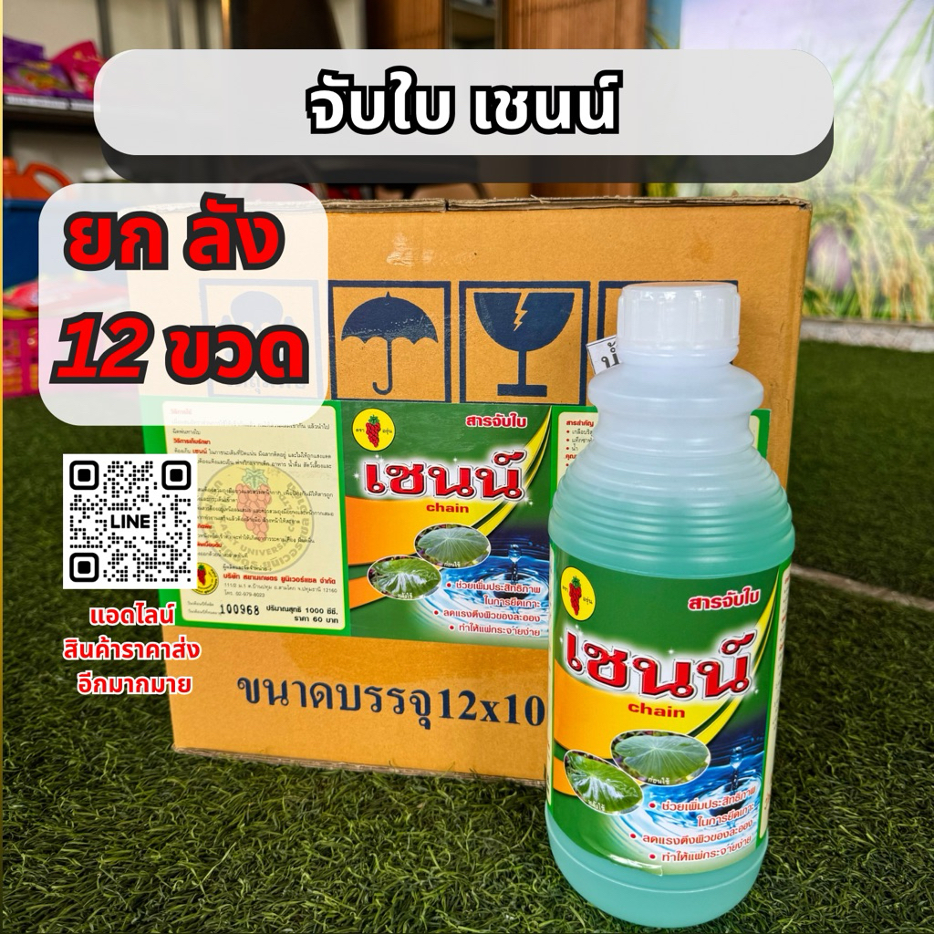 (ยกลัง 12 ขวด) จับใบ เชนน์ ลดแรงตึงผิว เพิ่มการยึดเกาะของยา 1 ลิตร