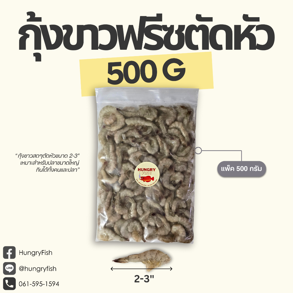 อาหารปลา กุ้งขาวแช่แข็งตัดหัว ขนาด 2-3 นิ้ว แพ็ค 500 กรัม | HungryFish