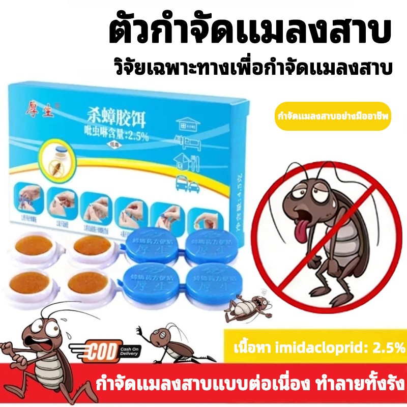 ยาฆ่าแมลงสาบ วิธีกำจัดแมลงสาบ แมลงสาบหายขาด ดักแมลงสาบ สัตว์รบกวน ยาแมลงสาบปลอดภัยสำหรับเด็ก สำหรับครอบครัว