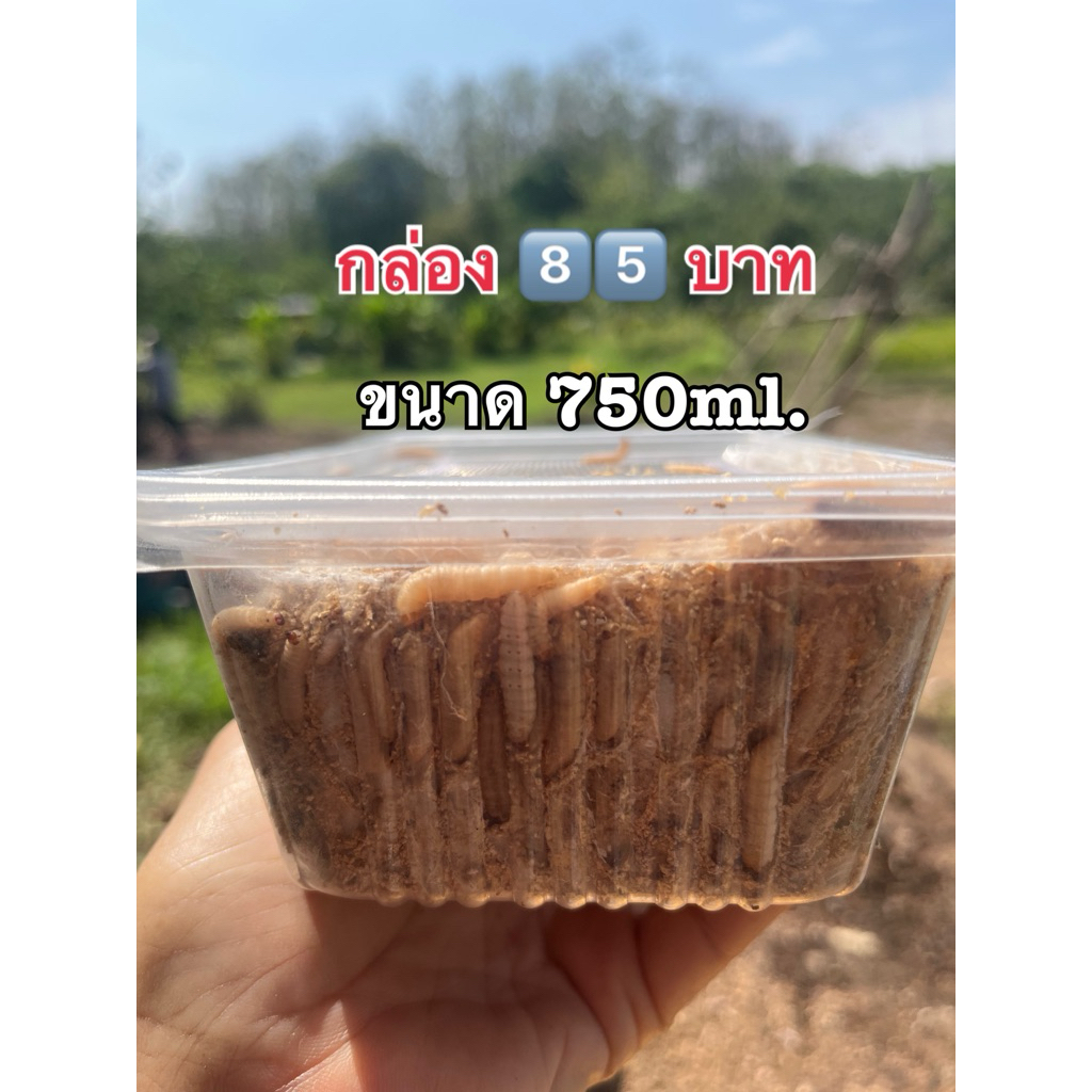 ขนมแว๊ก ในรำข้าวสาลี 750ml.