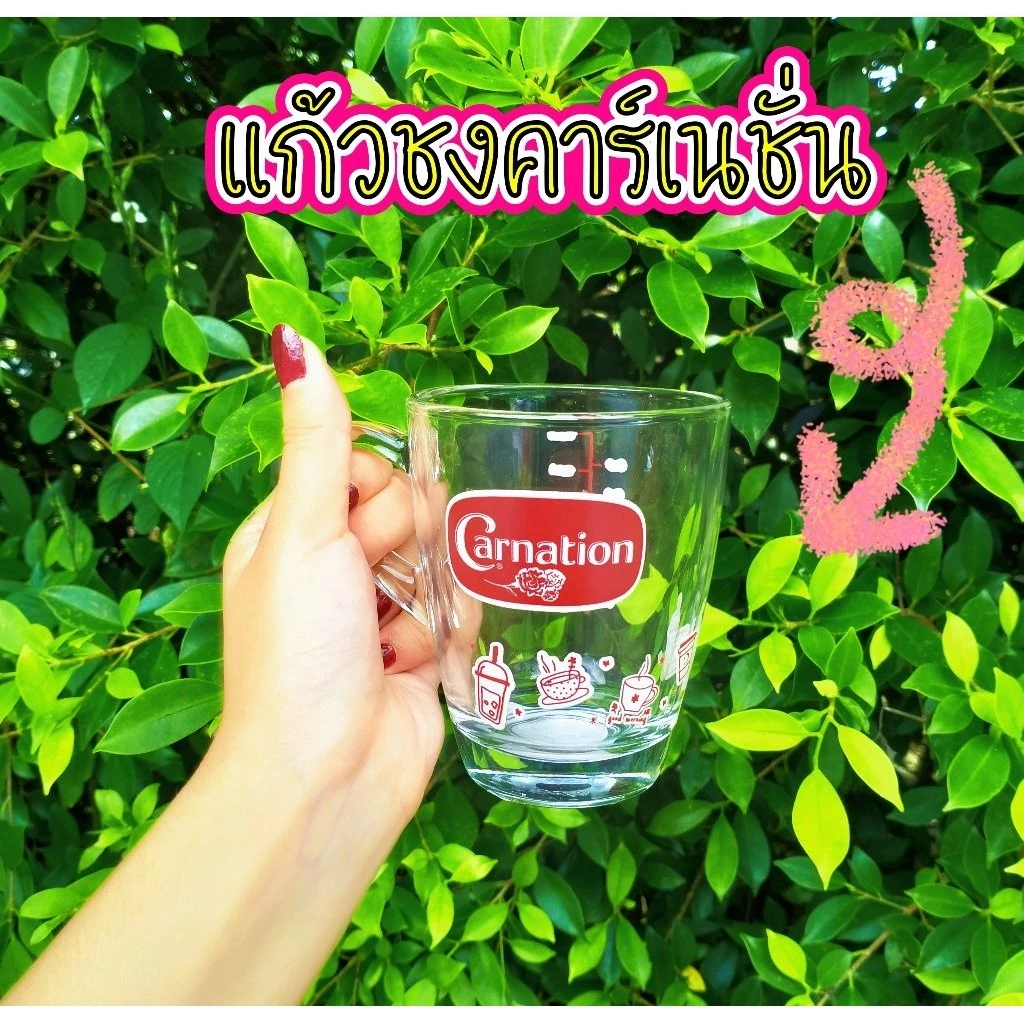แก้วชงคาร์เนชั่นแบบมีสเกล สำหรับชงเครื่องดื่ม สินค้าขายดี