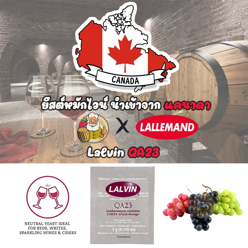 ยีสต์ Yeast Lalvin QA23 Wine yeast 5 กรัม สำหรับหมักเครื่องดื่ม
