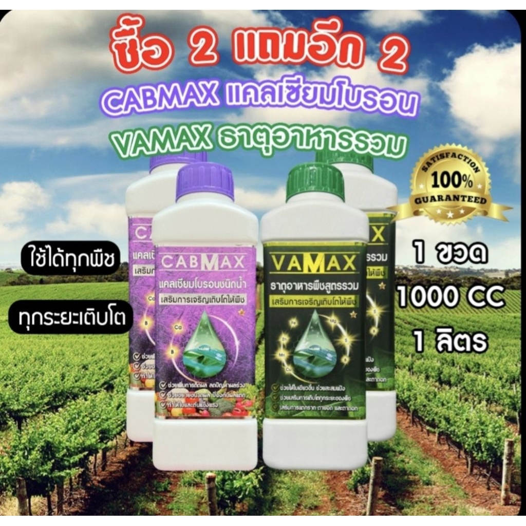 2แถม2ปุ๋ยVAMAX&CABMAX