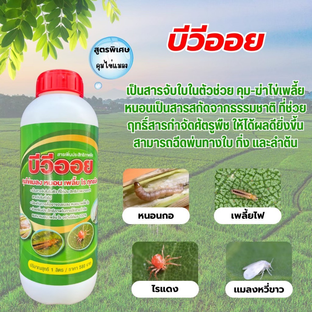 บีวีออย (ขนาด 1 ลิตร) สารสกัดน้ำมันจากธรรมชาติ สารเสริมฤทธิ์ช่วย คุม-ฆ่าไข่เพลี้ย หนอน ปลอดภัยต่อผู้ใช้เเละสิ่งเเวดล้อม ราคา ถูกที่สุด ดีลบีเคเค รูปภาพหลัก