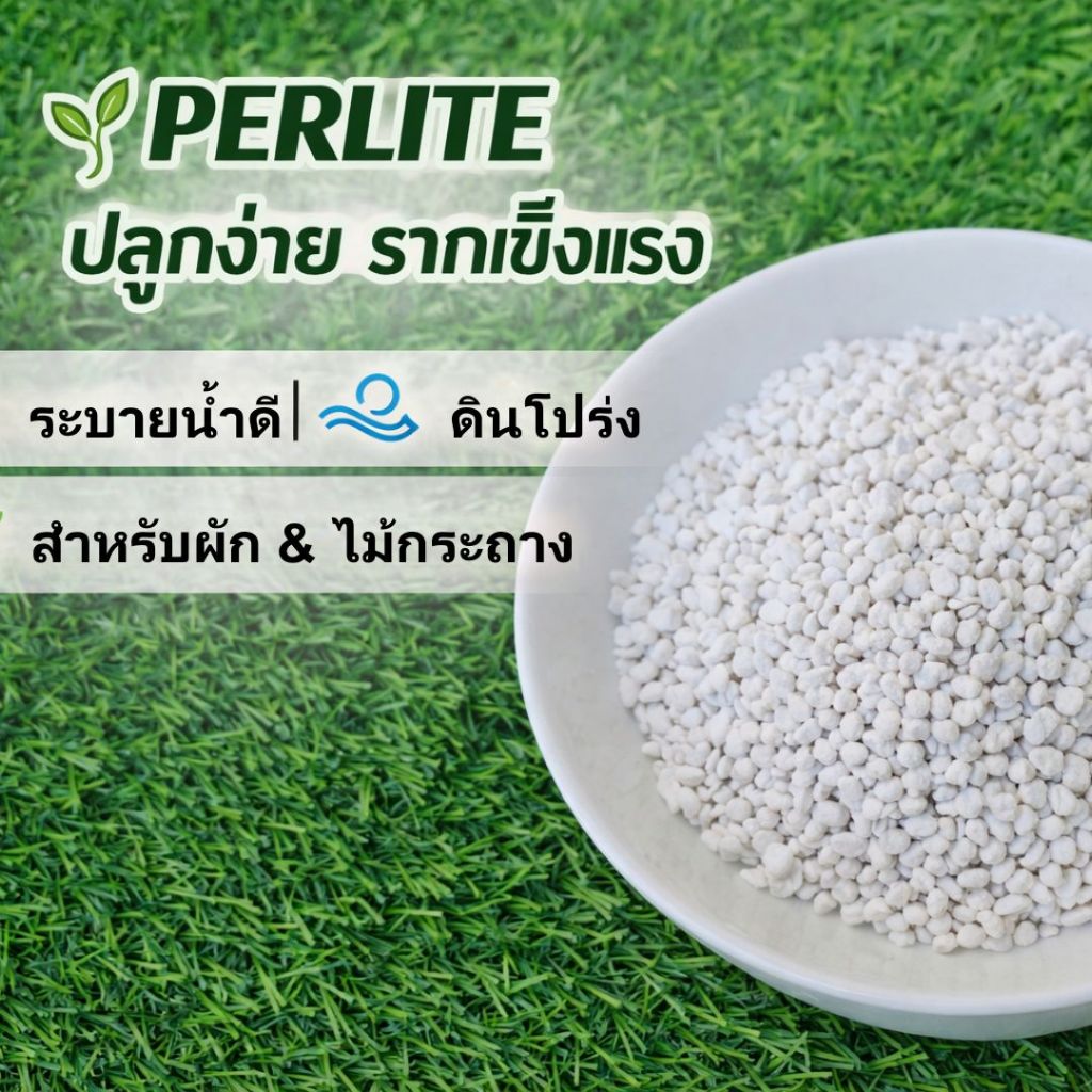 เพอร์ไลต์ Perlite เกรดปลูกพืช | วัสดุปลูกโปร่งเบา ระบายน้ำดี | สำหรับผสมดิน ผัก ไม้ดอก ไม้กระถาง