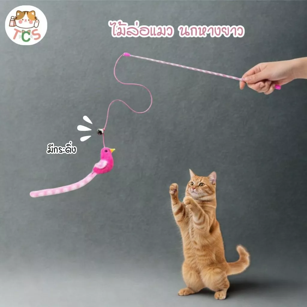 TCS ไม้ตกแมว นกหางยาว ของเล่นแมว ให้สัตว์เลี้ยงได้ออกกำลังกาย