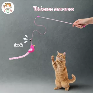 TCS ไม้ตกแมว นกหางยาว ของเล่นแมว ให้สัตว์เลี้ยงได้ออกกำลังกาย