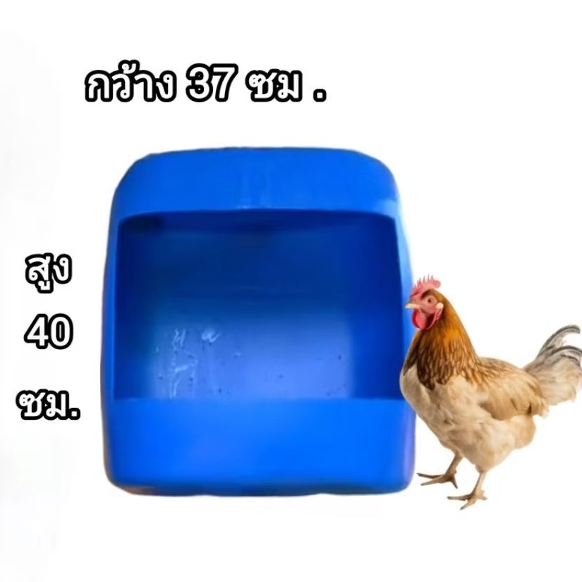 รังไข่ รังไก่ไข่ พลาสติกหนา