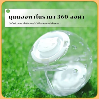 ลูกบอลวิ่งหนูแฮมเตอร์ ของเล่นแฮมสเตอร์ไม่ติดเท้าหนูแฮมสเตอร์เล่นของเล่นต่อต้านอาการซึมเศร้า