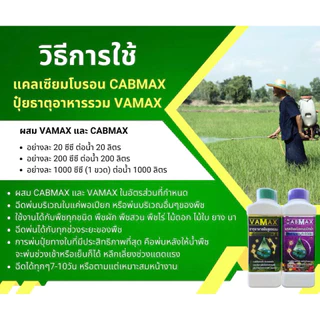 📦ยกลัง12ขวด (แถมเสื้อปุ๋ย) ปุ๋ยแคลเซียมโบรอนเข้มข้น CABMAX [6แถม6] ช่วยให้ขั้วเหนียว ลดการหลุดร่วง (C12+เสื้อ)