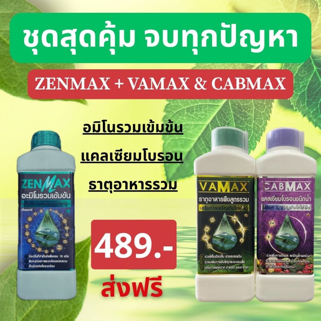 ZENMAX อะมิโนรวม + CABMAX+VAMAX แคลเซียมโบรอนเข้มข้น ปุ๋ยธาตุรวม รวมชุด 3ขวด (Z1+V1+C1)