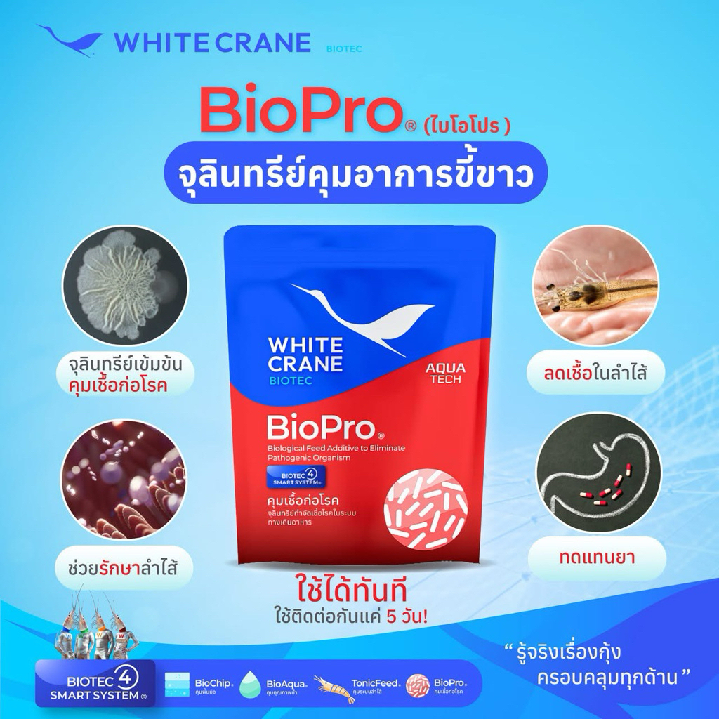BioPro (ไบโอโปร) จุลินทรีย์ผสมอาหารสูตรเข้มข้น แก้ปัญหากุ้งเป็นขี้ขาว ขนาด 100g