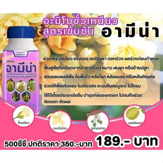 อะมิโน ขั้วเหนียว สูตรเข้มข้น ช่วยให้ดอก–ผลติดดี ขั้วเหนียว …