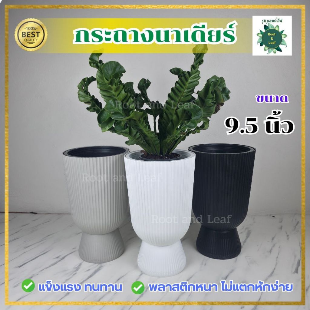 กระถางนาเดียร์ ขนาด 9.5 นิ้ว กระถางพลาสติกแข็งแรงและทนทาน ไม่แตกหักง่าย มีน้ำหนักเบา เคลื่อนย้ายได้สะดวก