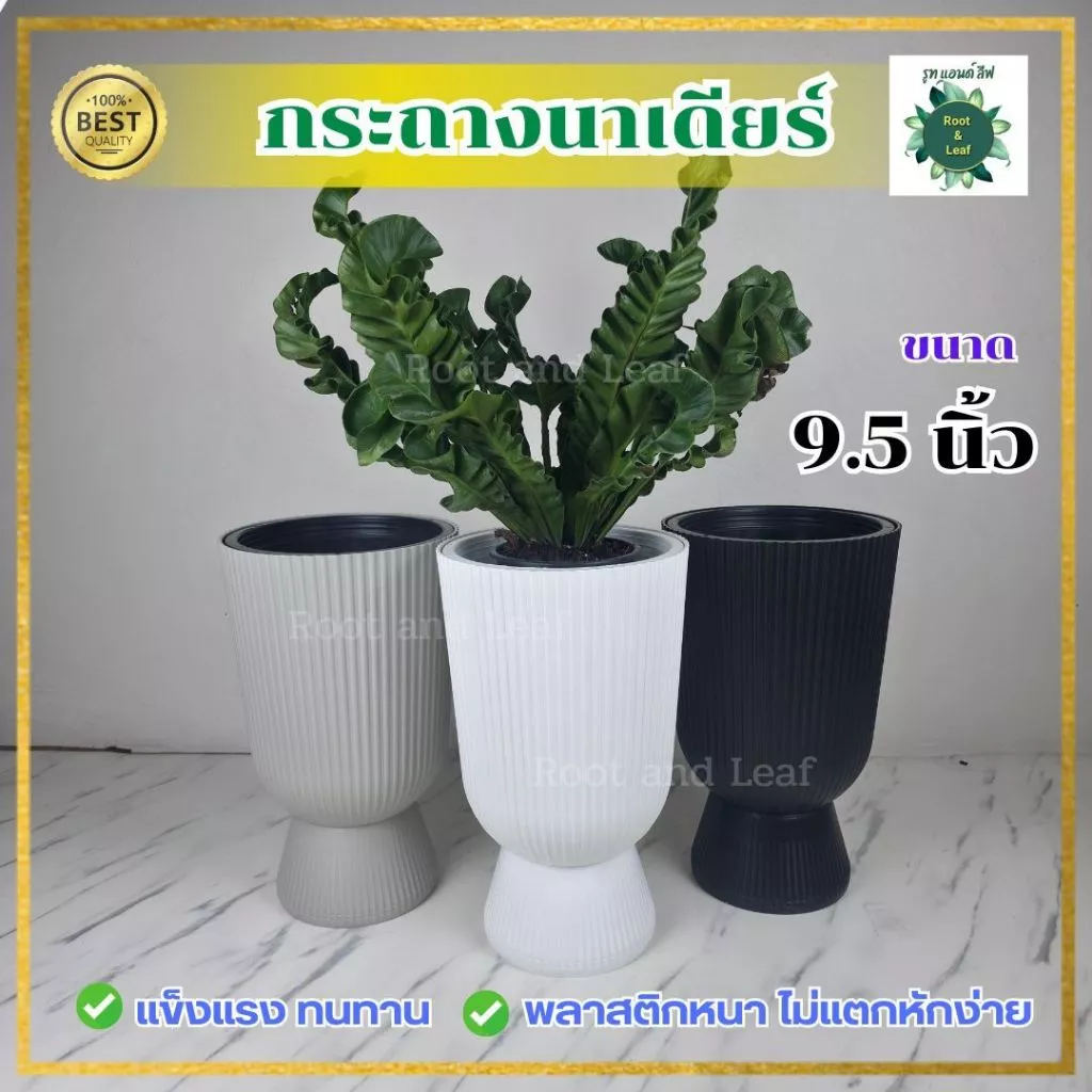 กระถางนาเดียร์ ขนาด 9.5 นิ้ว กระถางพลาสติกแข็งแรงและทนทาน ไม่แตกหักง่าย มีน้ำหนักเบา เคลื่อนย้ายได้สะดวก