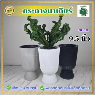กระถางนาเดียร์ ขนาด 9.5 นิ้ว กระถางพลาสติกแข็งแรงและทนทาน ไม่แตกหักง่าย มีน้ำหนักเบา เคลื่อนย้ายได้สะดวก