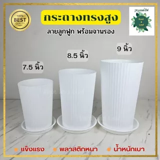 กระถางทรงสูงลายลูกฟูก พร้อมจานรอง มีทั้งหมด 3 ขนาดและมี 3 สี กระถางแข็งแรง พลาสติกหนาอย่างดี น้ำหนักเบา แต่งบ้านแต่งคอนโ