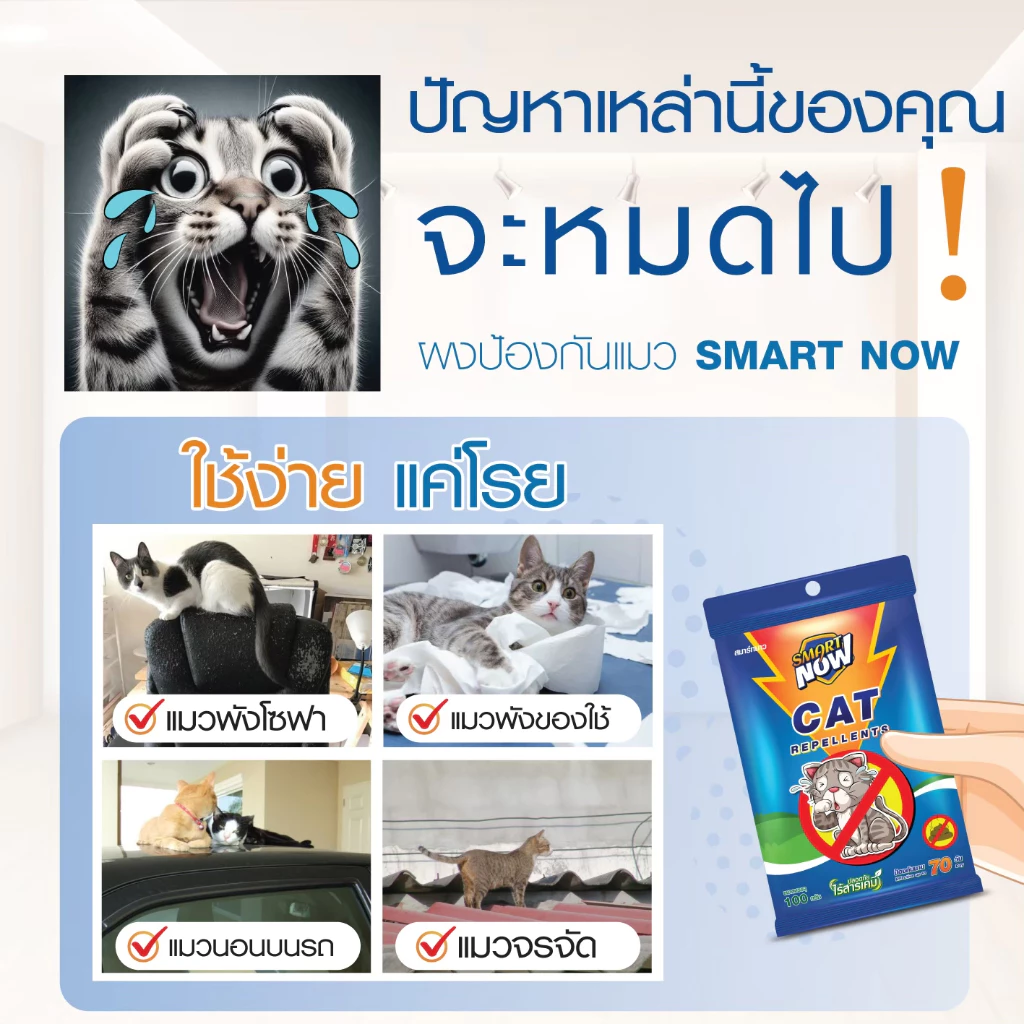 ไล่แมว แมวจร น้ำยาไล่แมว ผงไล่แมวยุคใหม่ thumbnail 3