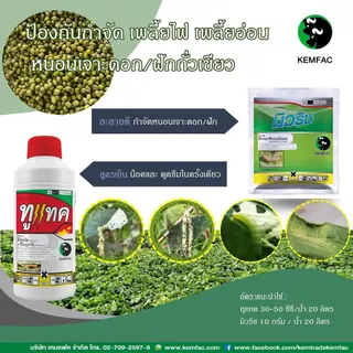 ทูแทค ขนาด 1 ลิตร - ฟีโนบูคาร์บ 16% EC + ฟิโพรนิล 2% EC - (แคมแฟค) - สูตรยาเย็น ป้องกันและกำจัด เพลี้ยหอยนาสาร เพลี้ยไก่