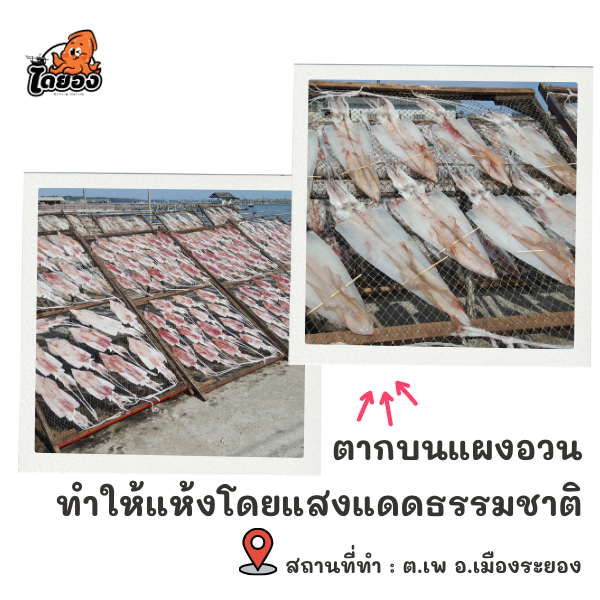 หมึกไหว้ หมึกหนังผ่า ตัวใหญ่ยาว 7 นิ้ว (บรรจุ 4 ตัว น้ำหนักรวม 200 กรัม) มีสินค้าจริง ส่งไว - รูปที่ 2