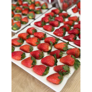 🍓สตอเบอรี่สด นำเข้าจัดส่งทันที✨ คัดก่อนส่ง ขนาด20ลูก (เปรี้ยวอมหวานพื้นที่ กทม.ได้รับภายใน 4 ชั่วโมง กดรับด่วนเท่านั้น)
