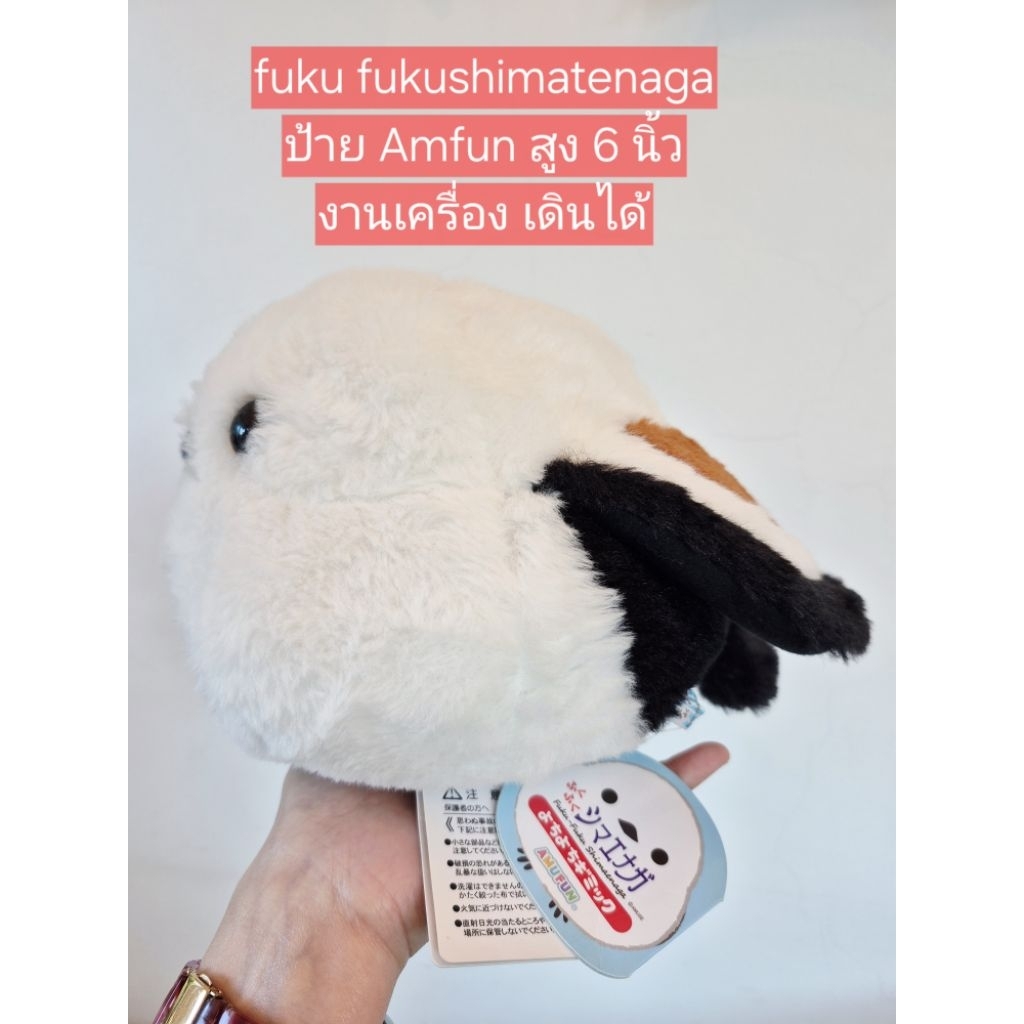 fuku fuku shimaenaga นกอมูส ตัวใหญ่ อ้วน กลม เดินได้