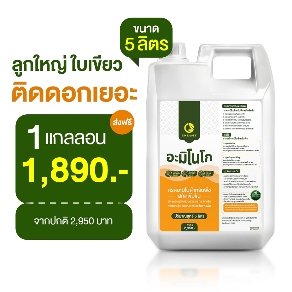 (1แกลลอน) อะมิโนโก ขนาด 5 ลิตร - AMINO GO กรดอะมิโนสำคัญต่อพืช 19 ชนิด ปุ๋ยน้ำ ปุ๋ยกุหลาบ เร่งราก