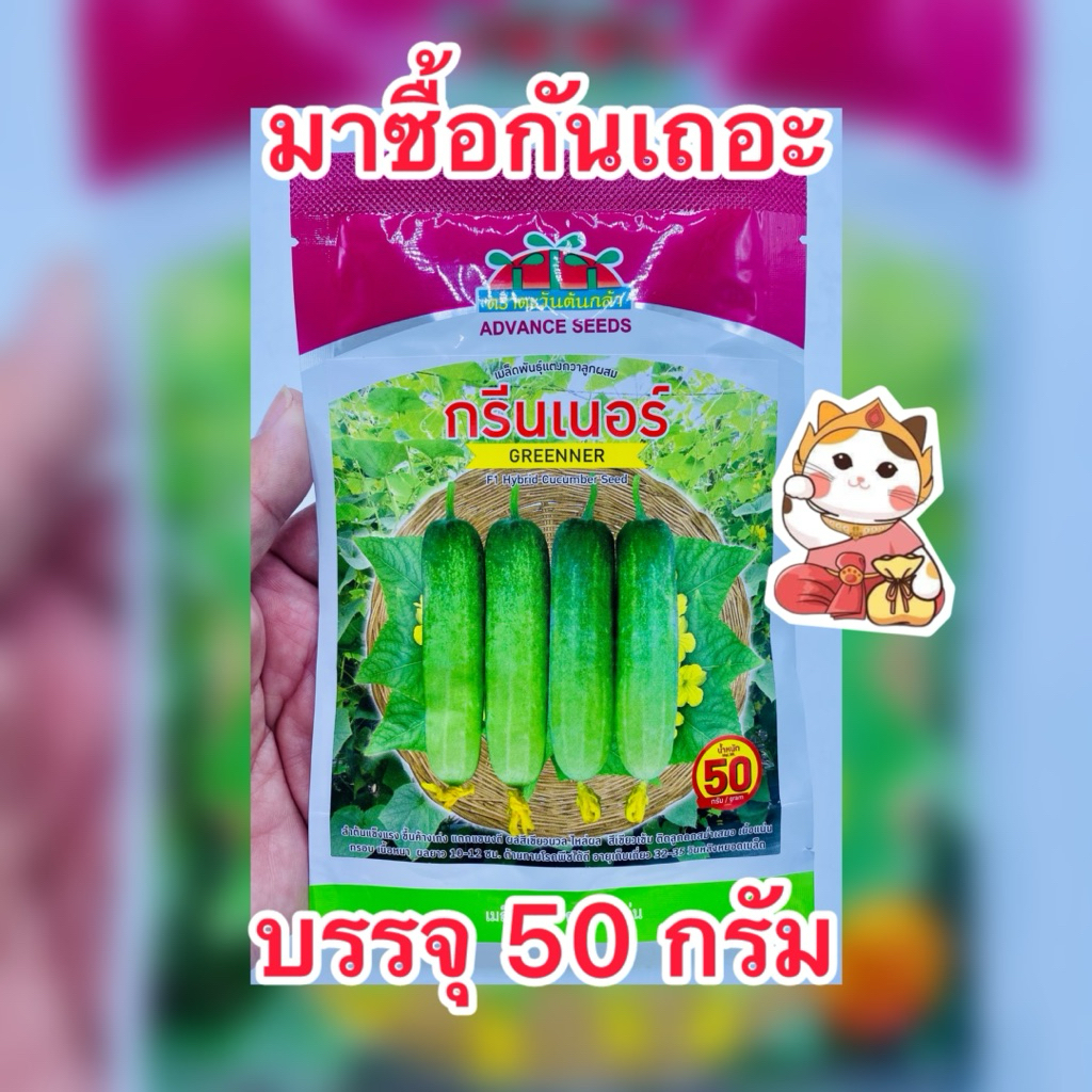 กรีนเนอร์ เมล็ดแตงกวาลูกผสม ตราตะวันต้นกล้า บรรจุ 50 กรัม/ซอง