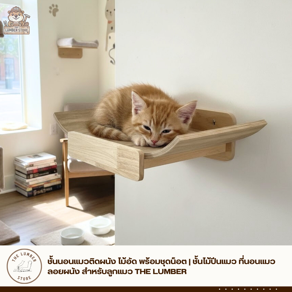 ชั้นนอนแมวติดผนัง ไม้อัด พร้อมชุดน็อต | ชั้นไม้ปีนแมว ที่นอนแมวลอยผนัง สำหรับลูกแมว THE LUMBER