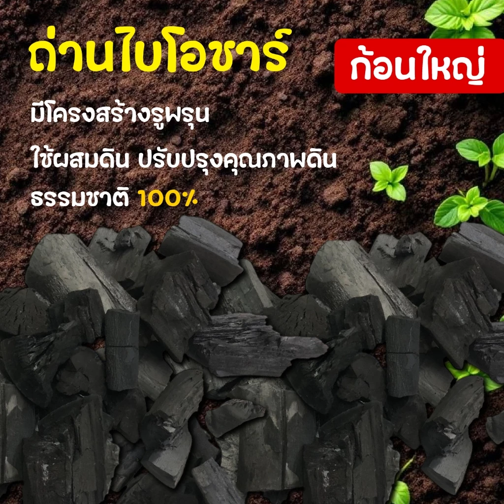 ถ่านไบโอชาร์ เพิ่มรูพรุนในดิน ทำให้ดินโปร่ง ระบายน้ำ และอากาศดีขึ้น ถ่านหุงต้ม ถ่านปิ้งย่าง