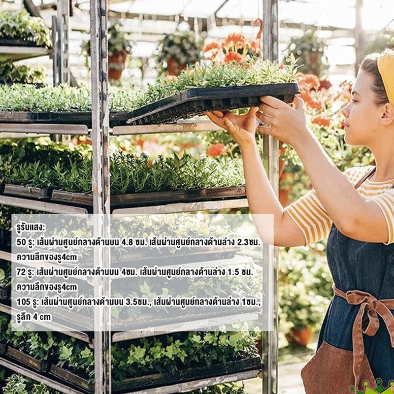 🔥ราคาส่ง🔥100Pcs ถาดเพาะกล้า 50/72/105/128/200หลุม หนา ถาดเพาะชำ ถาดเพาะต้นกล้า ถาดเพาะต้นอ่อน ถาดเพาะเมล็ นำมาใช้ซ้ำได้ - รูปที่ 2