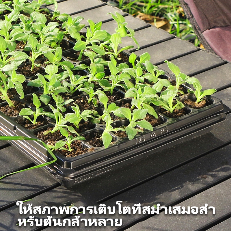 🔥ราคาส่ง🔥100Pcs ถาดเพาะกล้า 50/72/105/128/200หลุม หนา ถาดเพาะชำ ถาดเพาะต้นกล้า ถาดเพาะต้นอ่อน ถาดเพาะเมล็ นำมาใช้ซ้ำได้ - รูปที่ 6