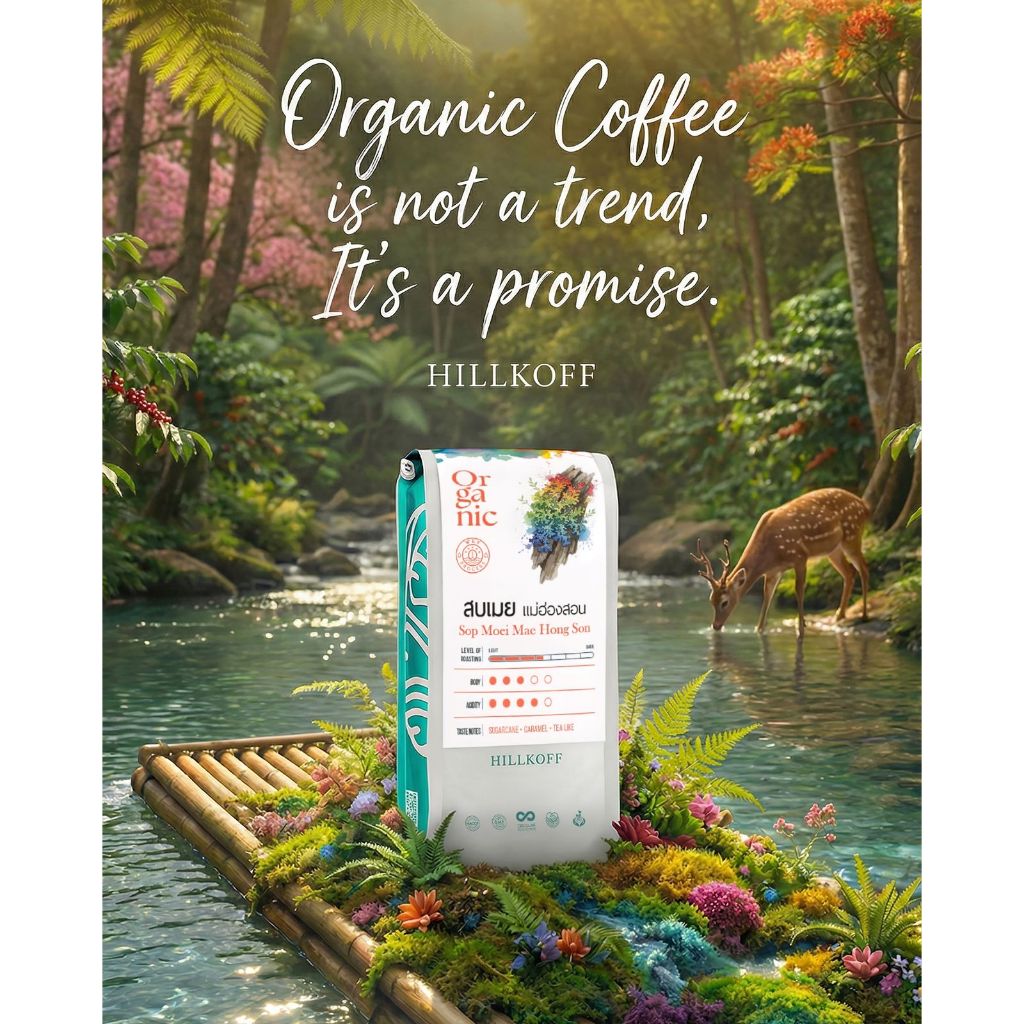 Ratika | Organic Sop Moei Arabica coffee Mae Hong Son เมล็ดกาแฟคั่วอราบิก้า 100% สบเมย จ.แม่ฮ่องสอน Single Origin