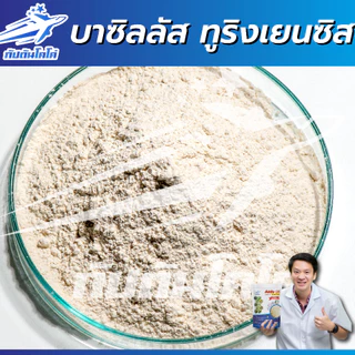 กัปตันบีที สูตรเข้มข้นเชื้อ 2 เท่า อัพอาหารเชื้อ บาซิลลัส ทูริงเยนซิส แบบผง(100กรัม) ปลอดภัย 100%