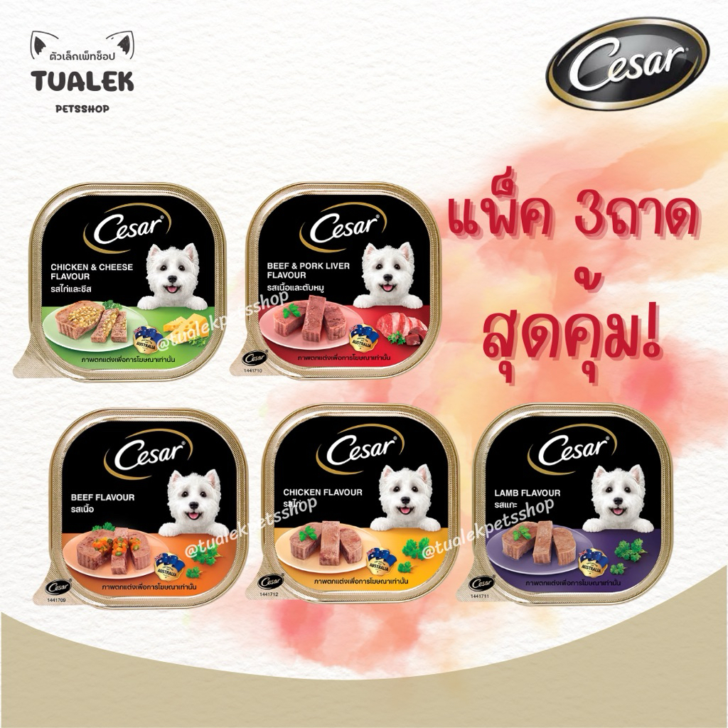 (แพ็ค3ถาด ราคาสุดคุ้ม) Cesar ซีซาร์ อาหารสุนัขเปียกแบบถาด ขนาด 100g.
