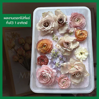 ทรายอบดอกไม้แห้ง 500-1000 กรัม สำหรับทำดอกไม้แห้ง สตั๊ฟดอกไม้ ดูดความชิ้น